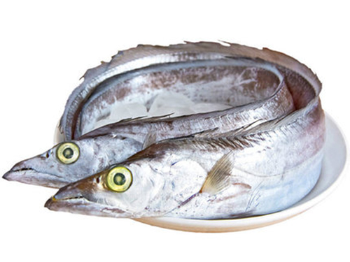 帶魚